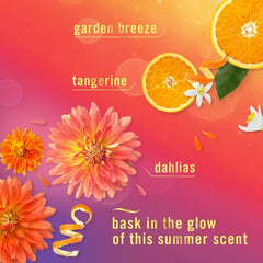 Febreze Luxe Air Mist - Summer Golden Hour - 8.1oz