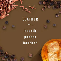 2ct Febreze Auto Leather