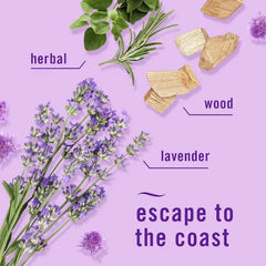 Febreze Car Air Fresheners - Twilight Lavender - 2ct: Oil, Non-Powered