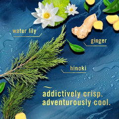 Febreze Ocean Bathroom Air Freshener - 2ct: Dye-Free, Phthalate-Free, Non-Powered, Oil Form